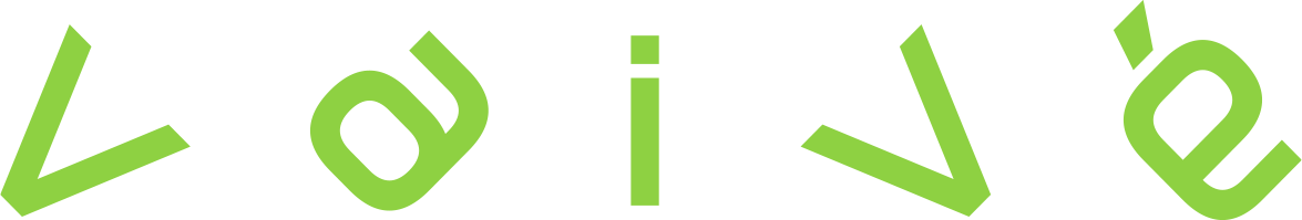 logo vaive